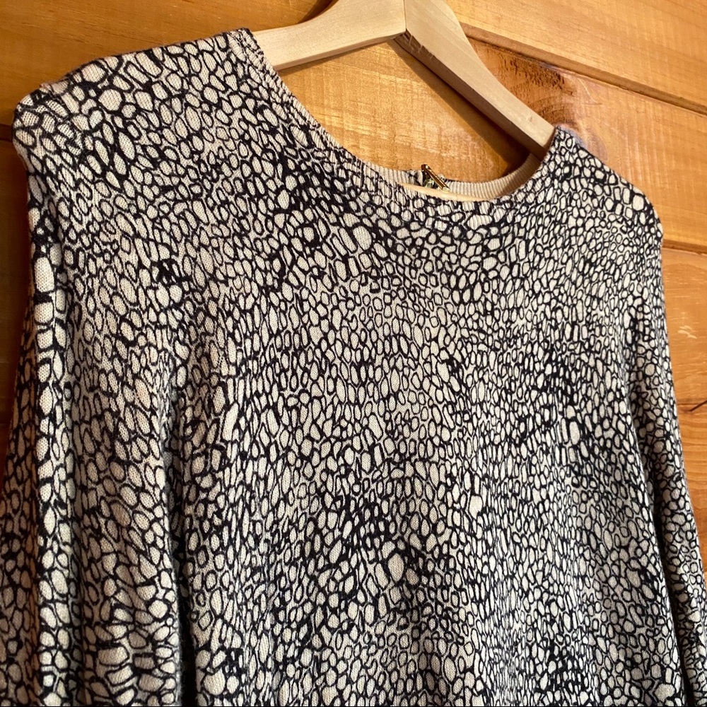 Dana Bachman tunic sweater